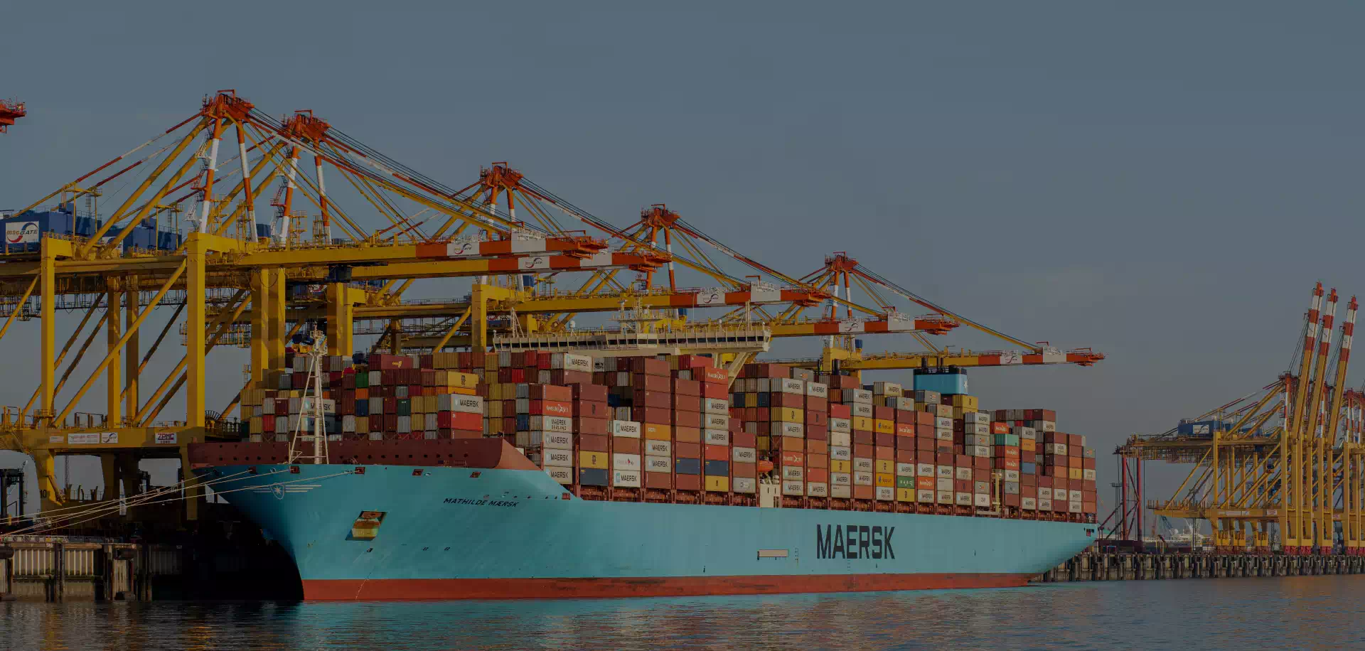 Excellent Quality, Crane Pioneer